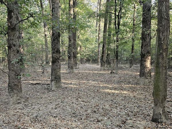 Highway 35, Vaiden, MS 39176