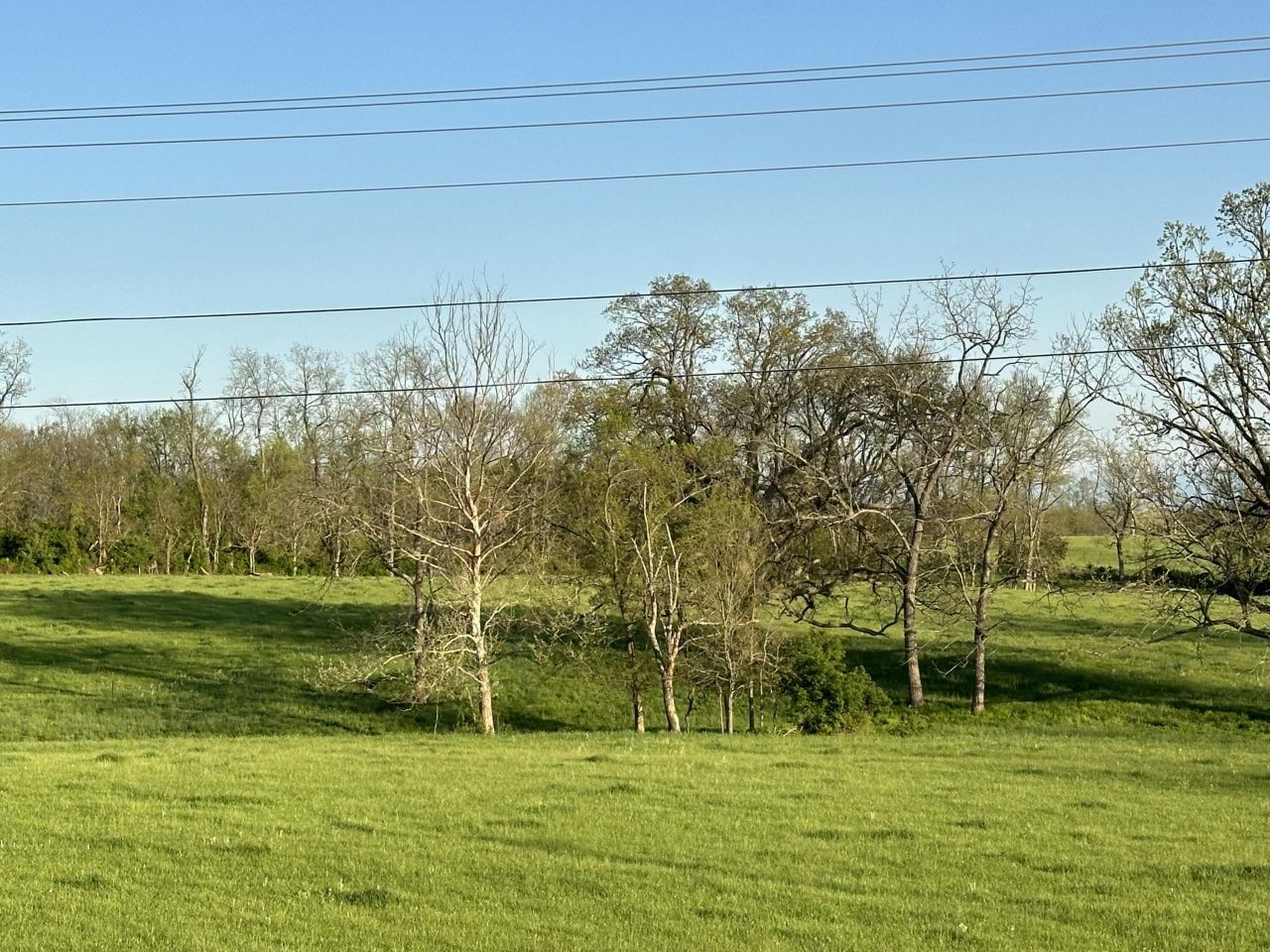 3569 Cynthiana Road, Georgetown, KY 40324 Main Photo