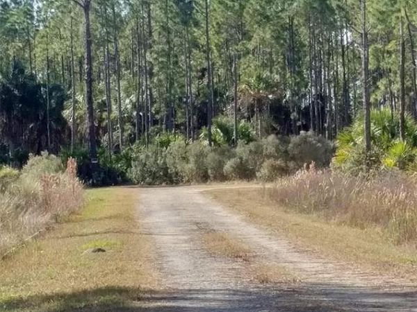 Lot 7 SW 104 STREET, CEDAR KEY, FL 32625