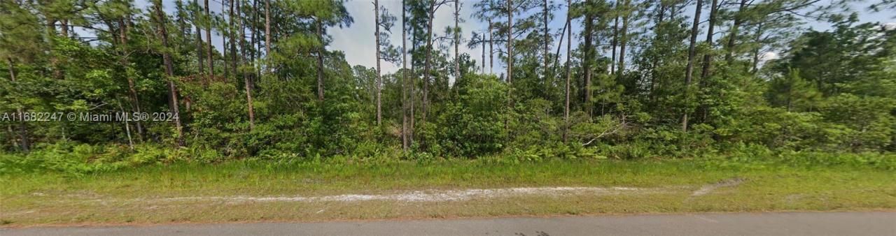 4238 Balboa Blvd, Sebring, FL 33872 Photo