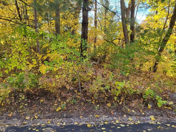 0 Chestnut Court, Ogden Dunes, IN 46368