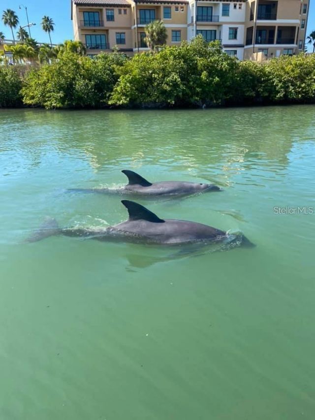 4024 Casey Key Road, Nokomis, FL 34275 Photo