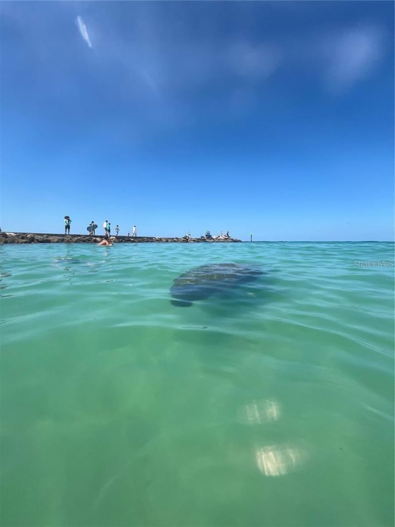 4024 Casey Key Road, Nokomis, FL 34275 Photo