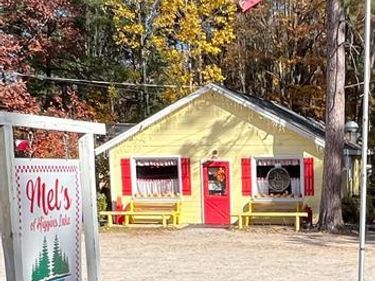 3556 E HIGGINS LAKE Drive, Gerrish Twp, MI 48653