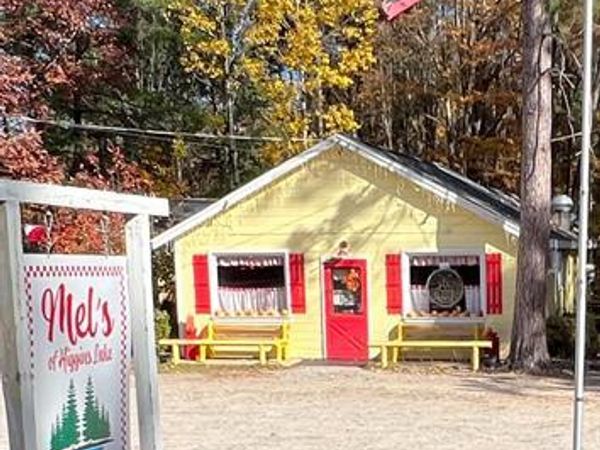 3556 E HIGGINS LAKE Drive, Gerrish Twp, MI 48653