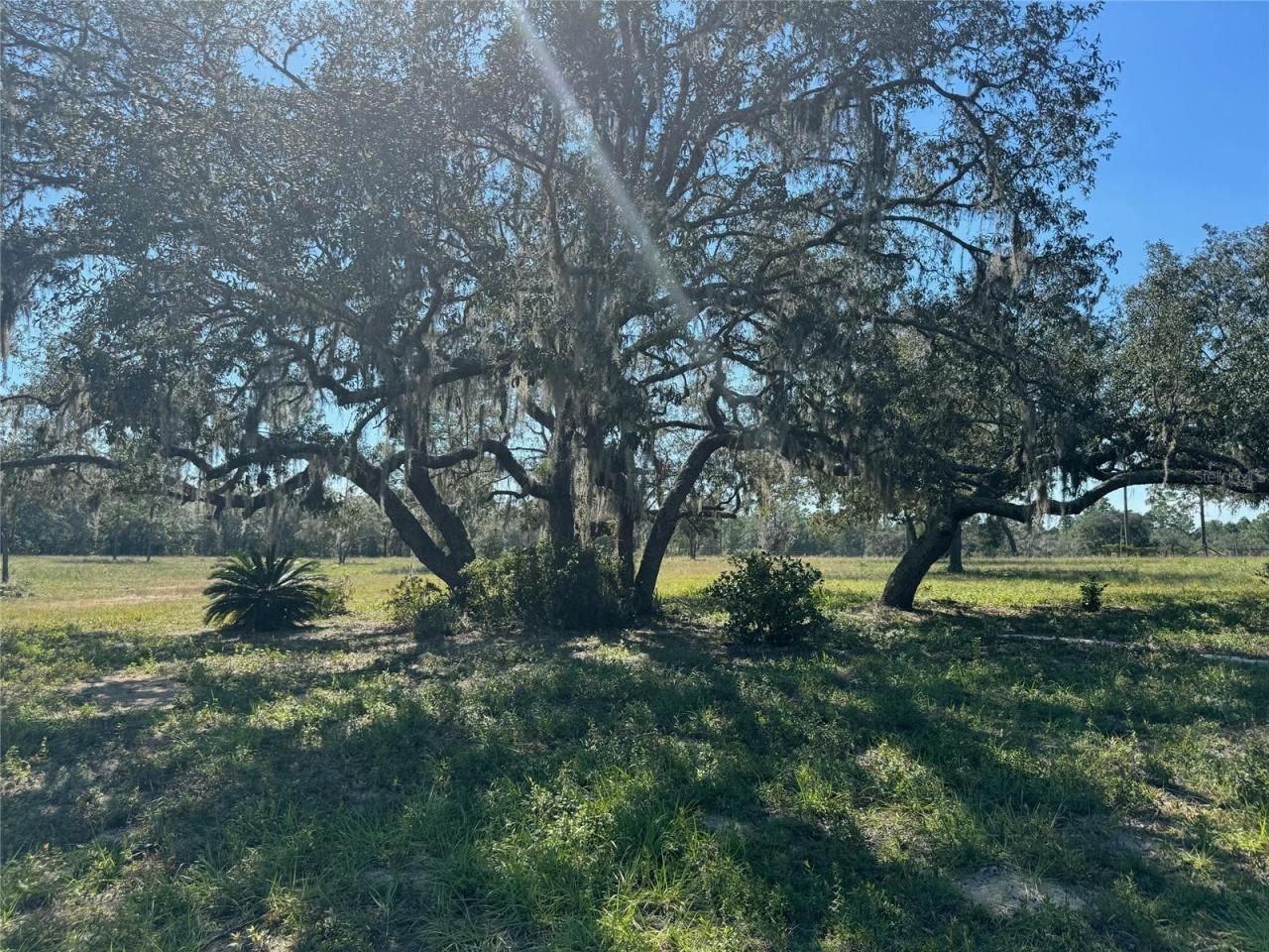 9437 N Singapore Avenue, Dunnellon, FL 34433 Photo