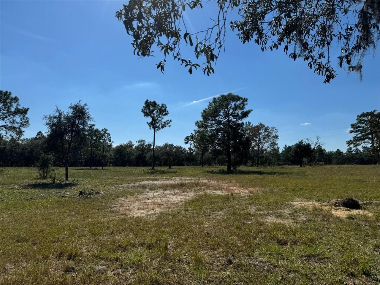 9437 N Singapore Avenue, Dunnellon, FL 34433 Photo