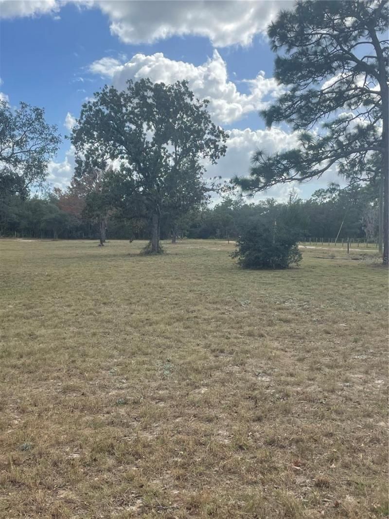 9437 N Singapore Avenue, Dunnellon, FL 34433 Photo