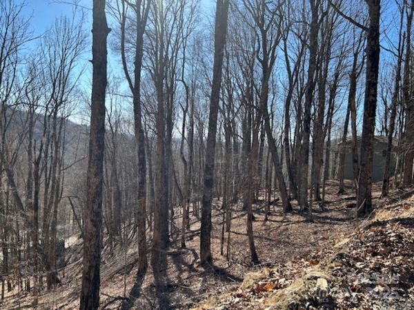 690 Oak Ridge Lane, Mars Hill, NC 28754