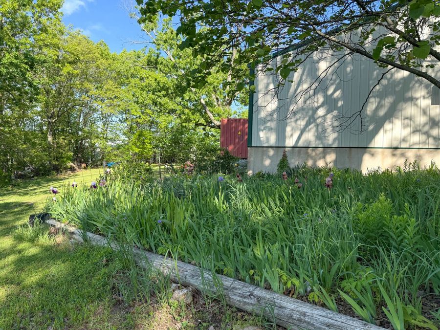 Property Image 33