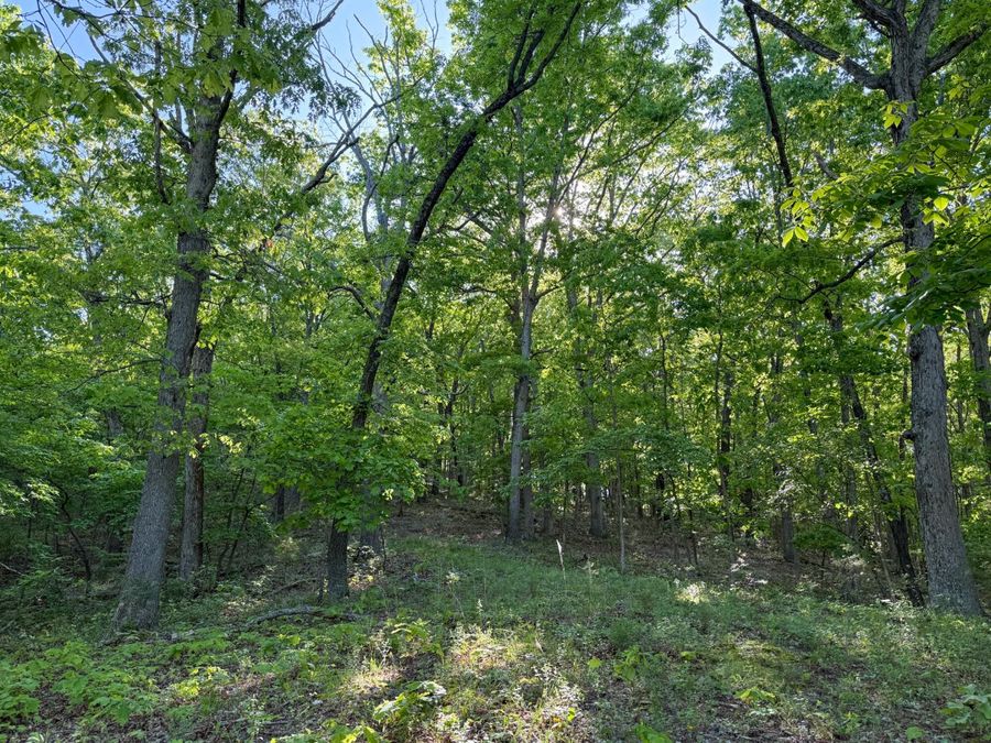 Property Image 65