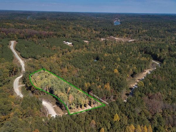 100 SHORESIDE DRIVE, Double Springs, AL 35553