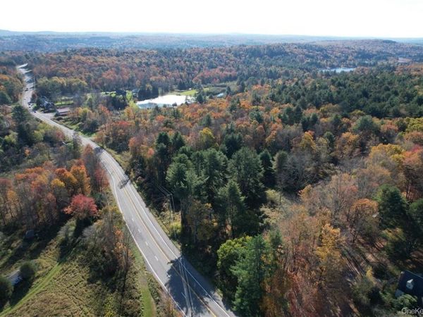 1195 NYS Route 17B, Mongaup Valley, NY 12762