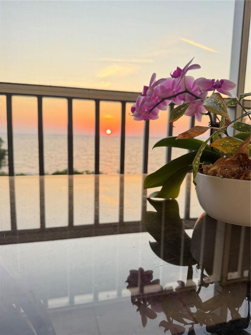 101 N Marion Court, Unit 122, Punta Gorda, FL 33950 Photo