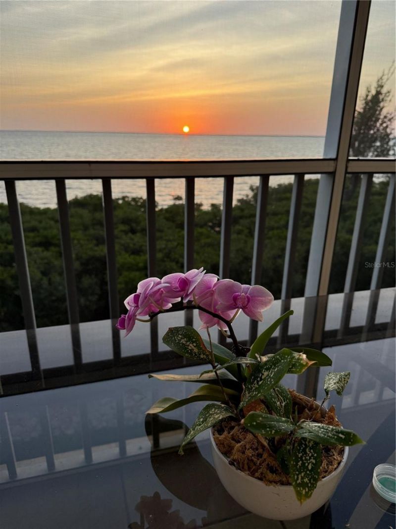 101 N Marion Court, Unit 122, Punta Gorda, FL 33950 Photo