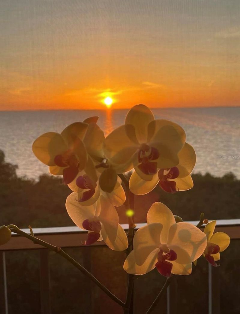 101 N Marion Court, Unit 122, Punta Gorda, FL 33950 Photo