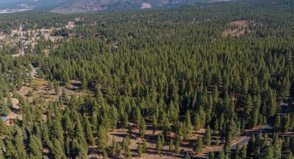 10794 Regency Circle, Truckee, CA 96161 Photo