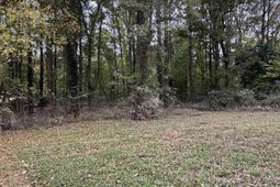 157 Wild Turkey Lane photo 4