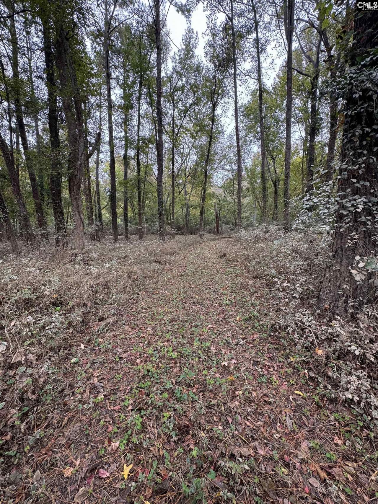 157 Wild Turkey Lane Photo 5