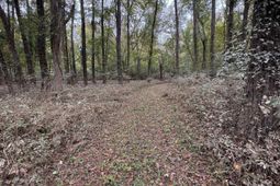 157 Wild Turkey Lane photo 4