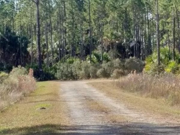 Lot 8 SW 104 STREET, CEDAR KEY, FL 32625