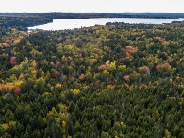 15-2 Carson Lane, Whiting, ME 04691