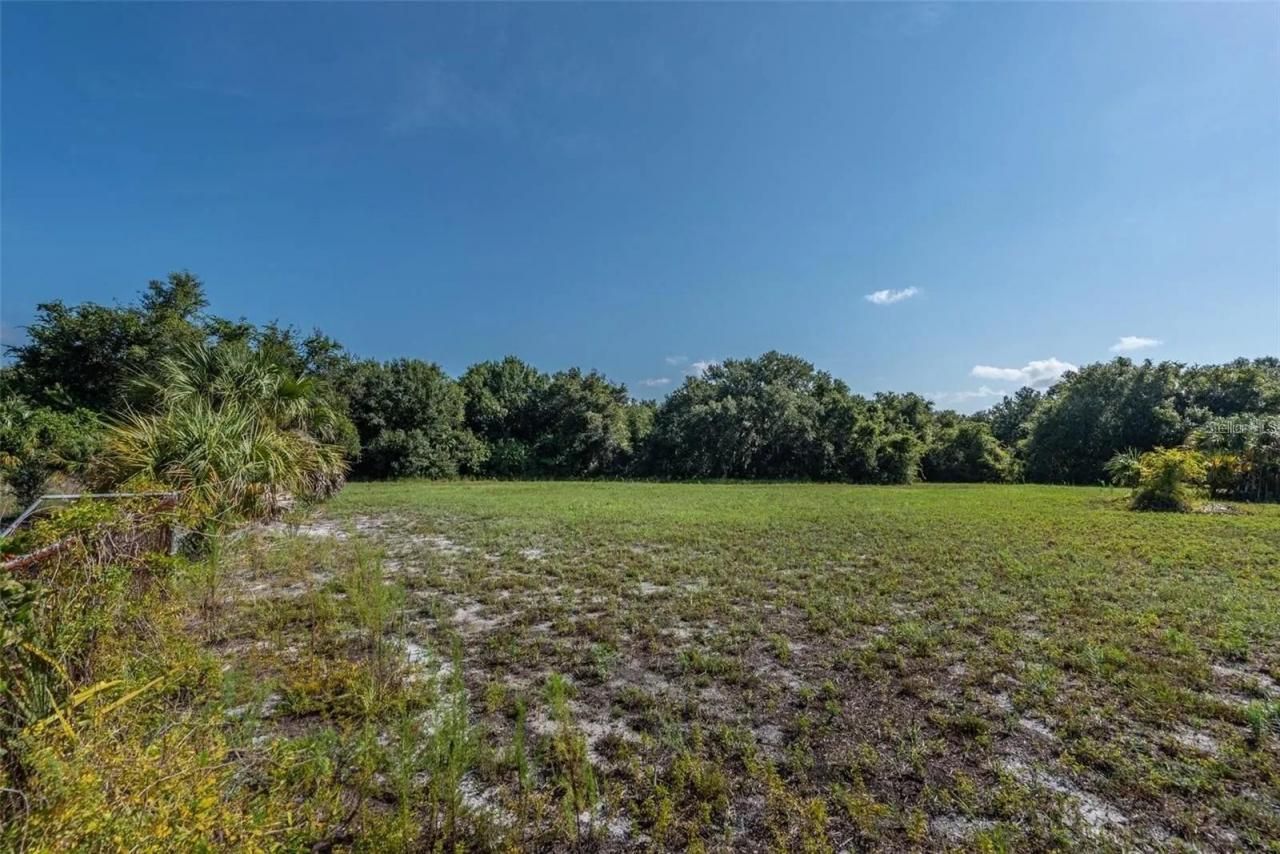 12154 Bullfrog Creek Road, Gibsonton, FL 33534 Photo