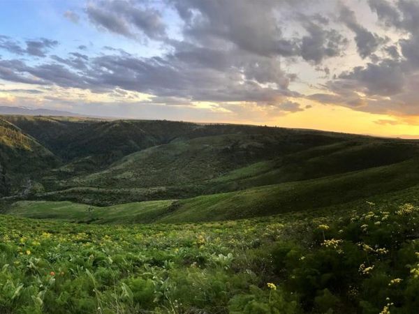 141 Scotlyn Ranch Rd., Kamiah, ID 83536