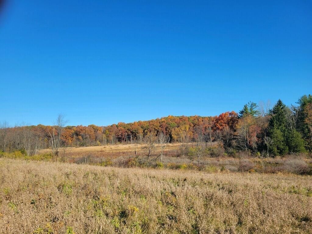 0 S Tripp Road, Osseo, MI 49266 Main Photo