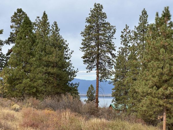 0 Oregon Shores Drive, Unit 24, Chiloquin, OR 97624