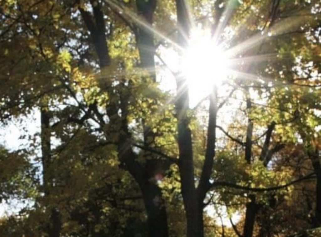 0 Reece Hollow Rd, Carthage, TN 37030 Main Photo