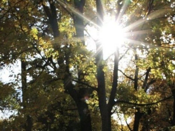 0 Reece Hollow Rd, Carthage, TN 37030