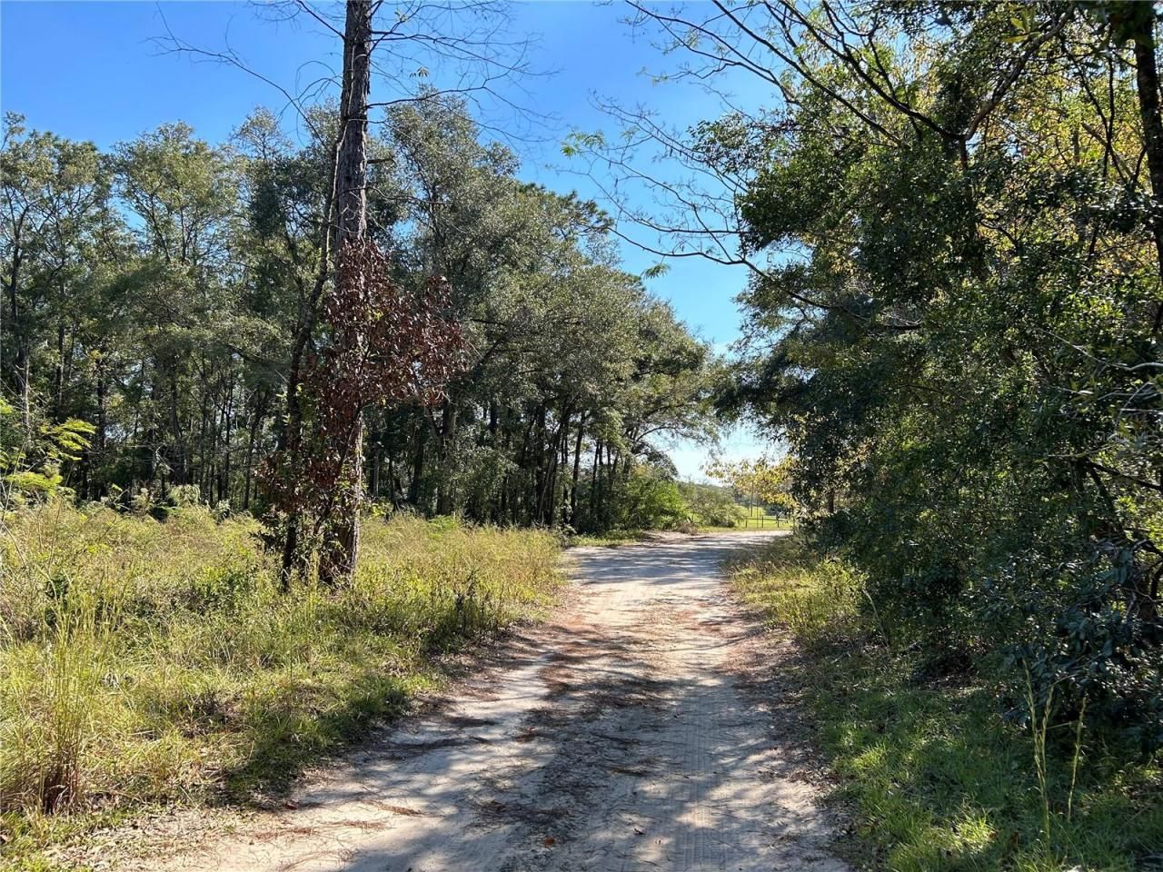 Tbd NE 138th Terr, Williston, FL 32696 Photo
