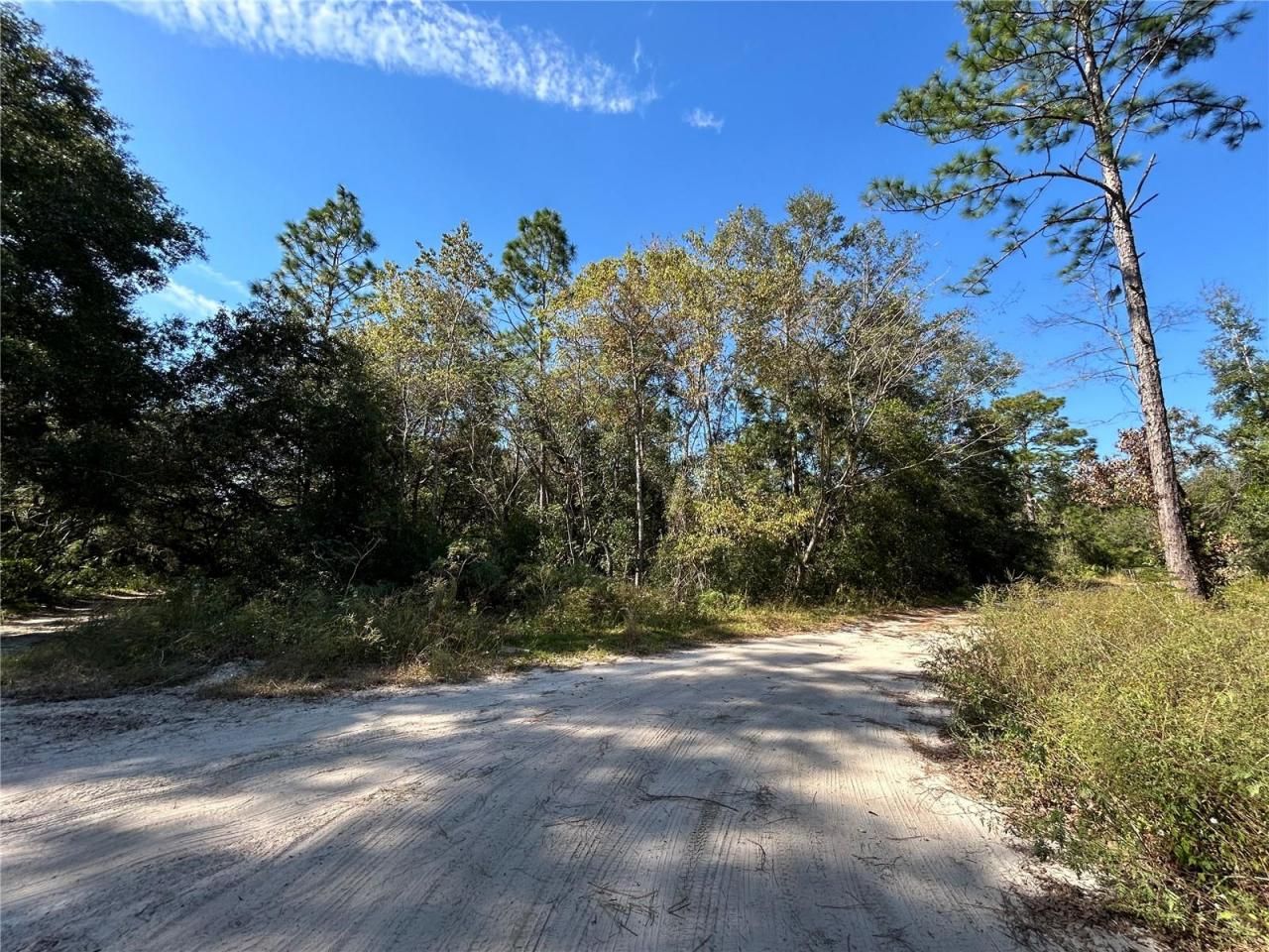 Tbd NE 138th Terr, Williston, FL 32696 Photo