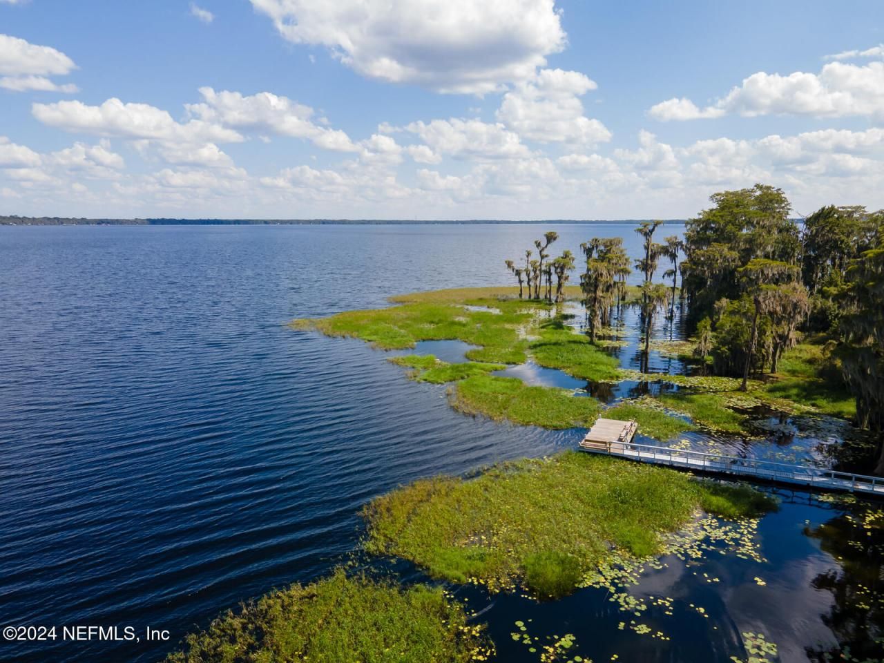 11311 NE 211th Terrace, Waldo, FL 32694 Photo