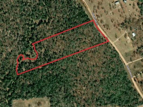 Lot #6 County Road 312, Thrall, TX 76578