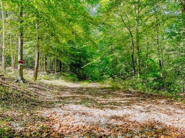 00 Bolestown Loop Lot 1, Alpine, TN 38543