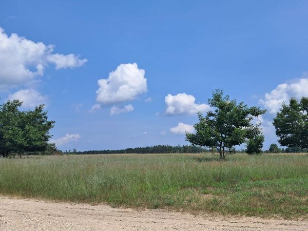 Parcel 11 Mullett View Drive, Cheboygan, MI 49721