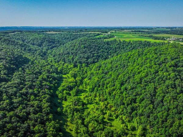 xxx East Twin Ridge Road, Houston, MN 55943