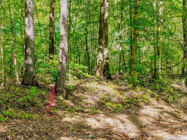 0 Bolestown Loop Lot 3, Alpine, TN 38543