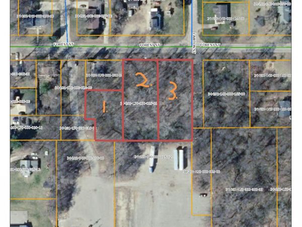 407 Forest Street, Ionia, MI 48846