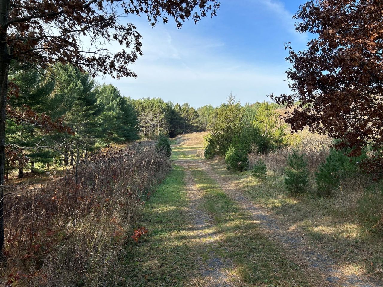 1888 80th Street, Somerset, WI 54025