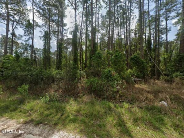 105 PINE CONE Drive, Georgetown, FL 32139