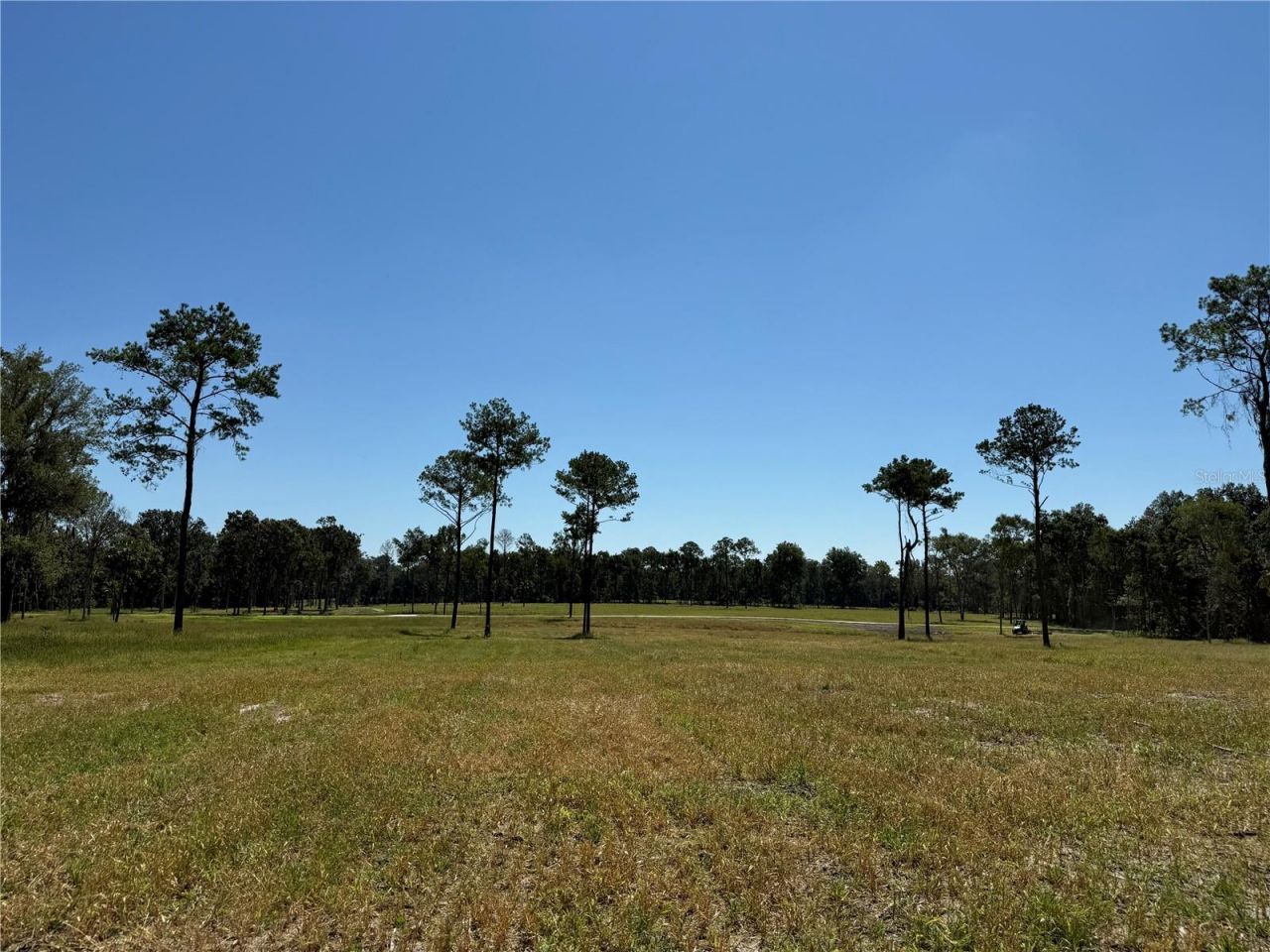 62ac NW 193rd St, Micanopy, FL 32667 Photo