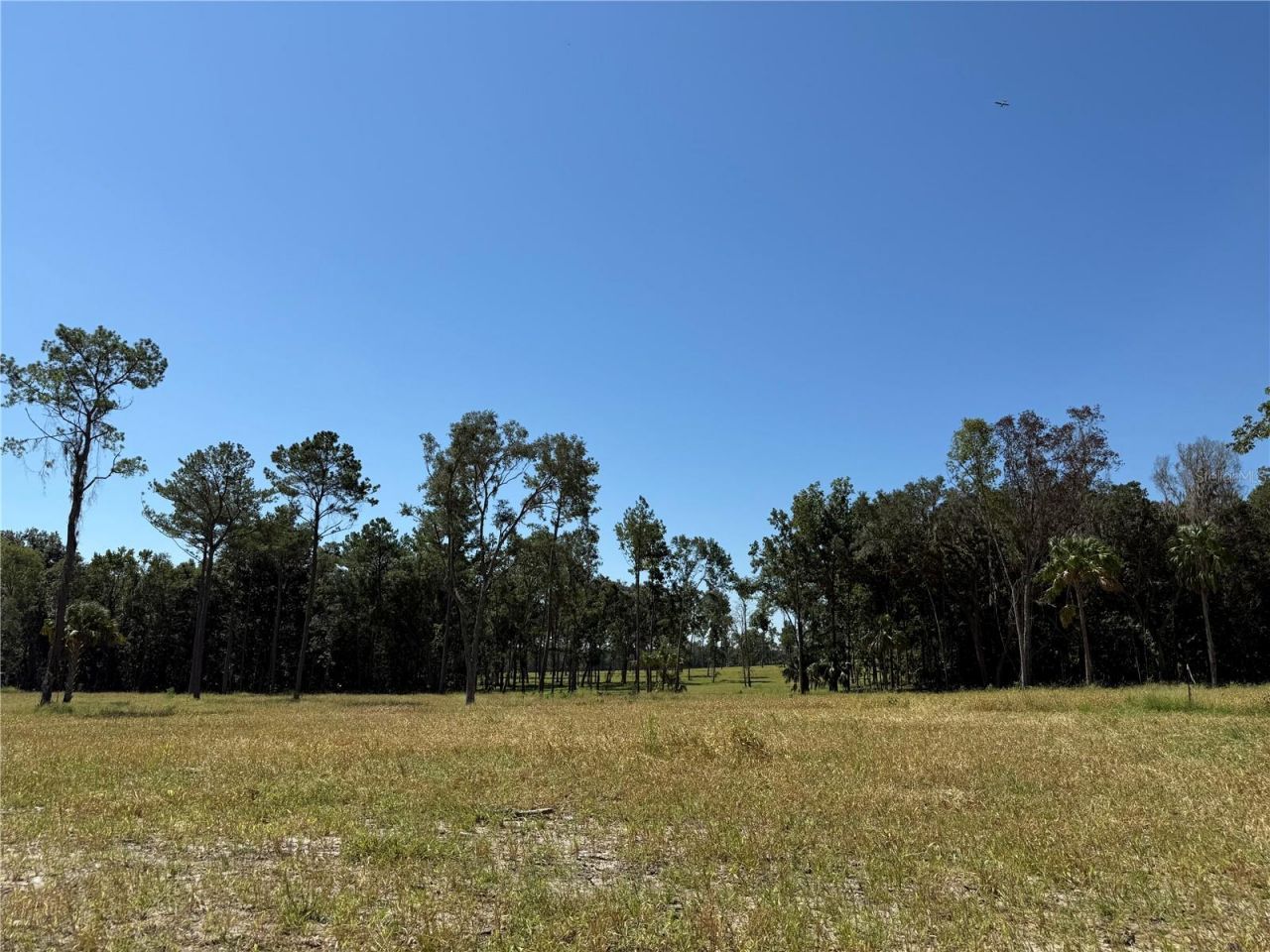 62ac NW 193rd St, Micanopy, FL 32667 Photo