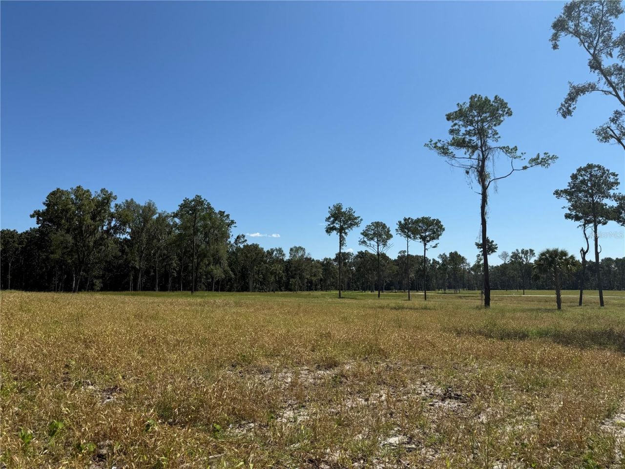 62ac NW 193rd St, Micanopy, FL 32667 Photo