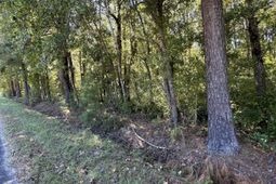 126 Old Still Lane photo 4