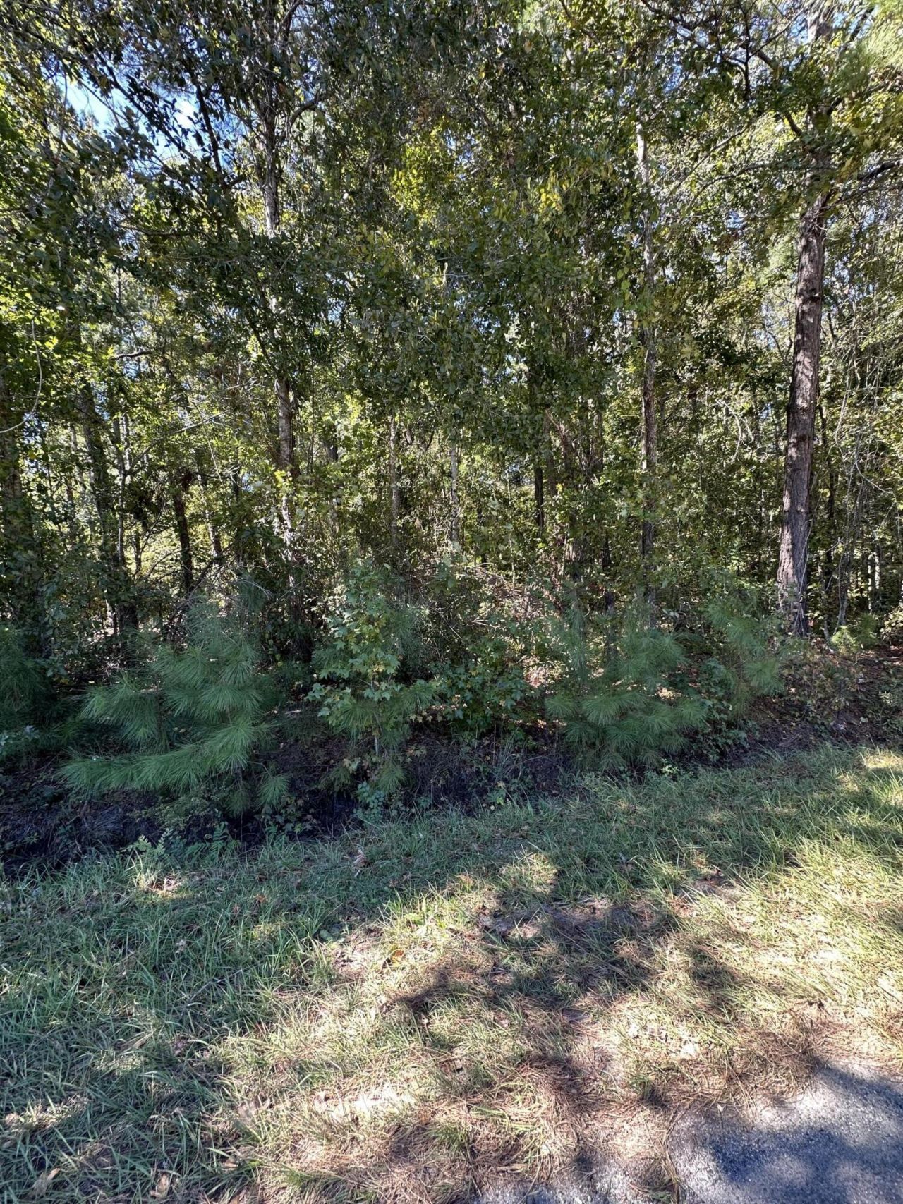 126 Old Still Lane Photo 3