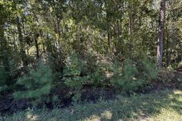 126 Old Still Lane photo 4