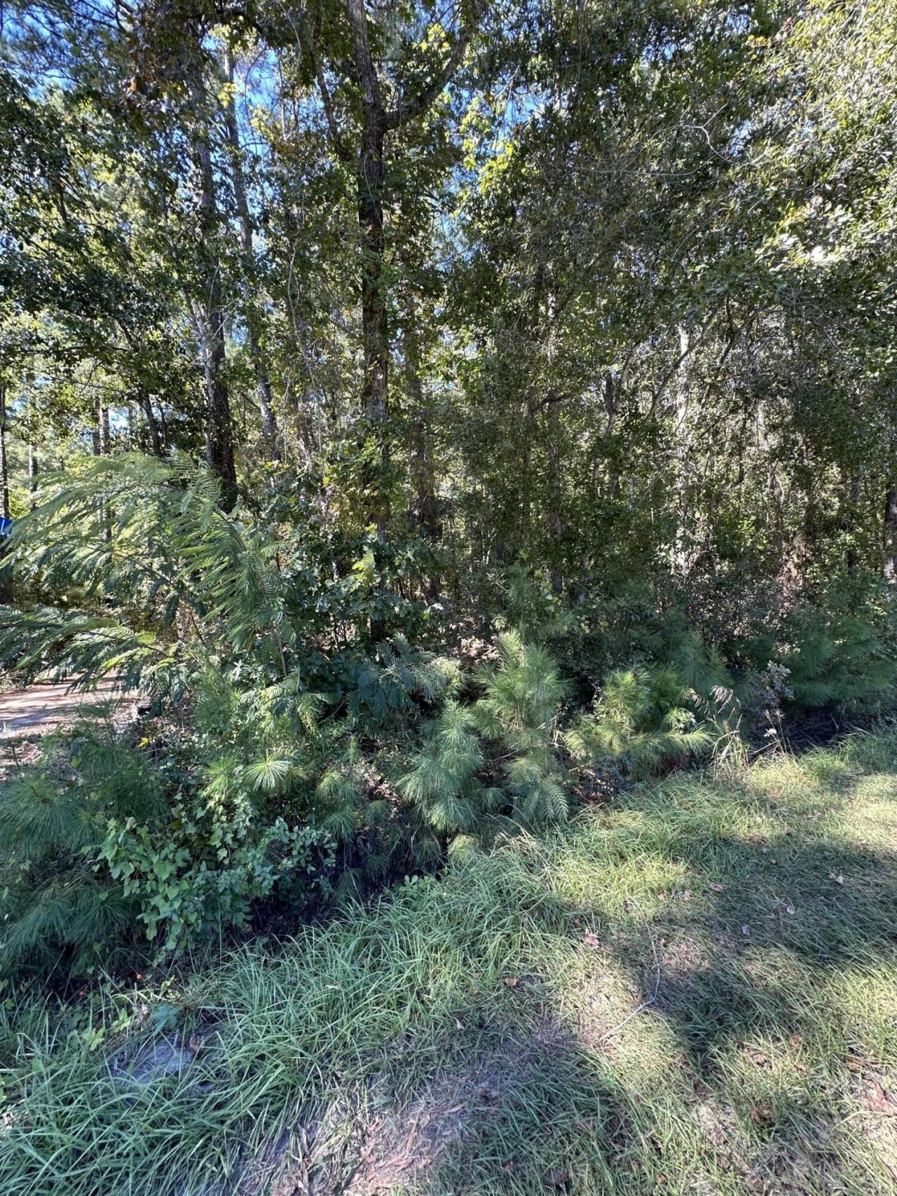 126 Old Still Lane Photo 4